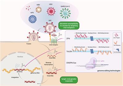 Genome Editing Technologies as Cellular Defense Against Viral Pathogens